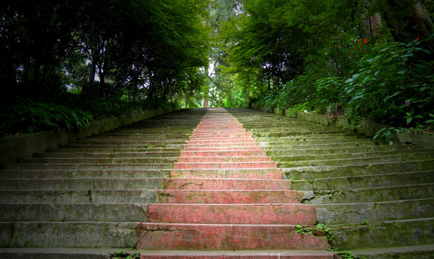 1459850353488402.jpg 1.jpg